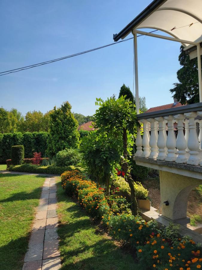 Green Garden Apartments Surčin Exterior foto